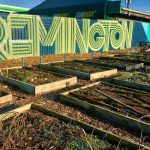 Picture of raised garden plots bordered in wood with a fence that reads remington in neon letters.