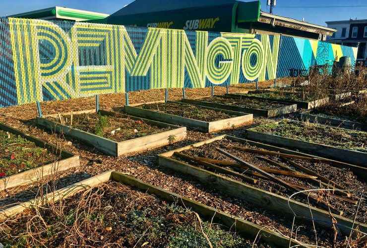 Picture of raised garden plots bordered in wood with a fence that reads remington in neon letters.